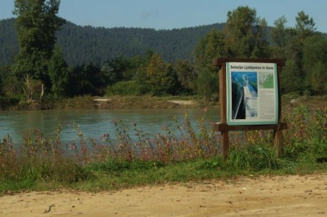 POT 2017 2 10
